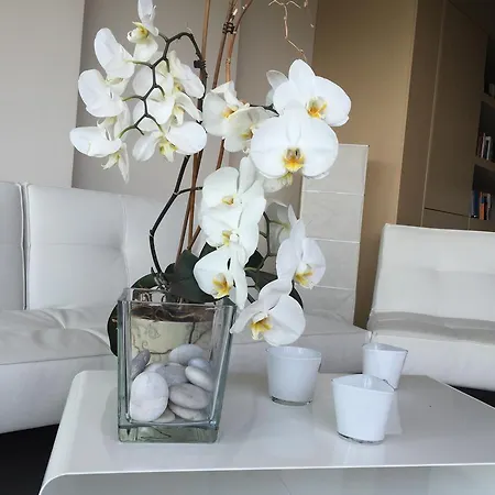 ゲストハウス Klities 4*